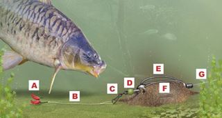 teste..idei..pareri..etc